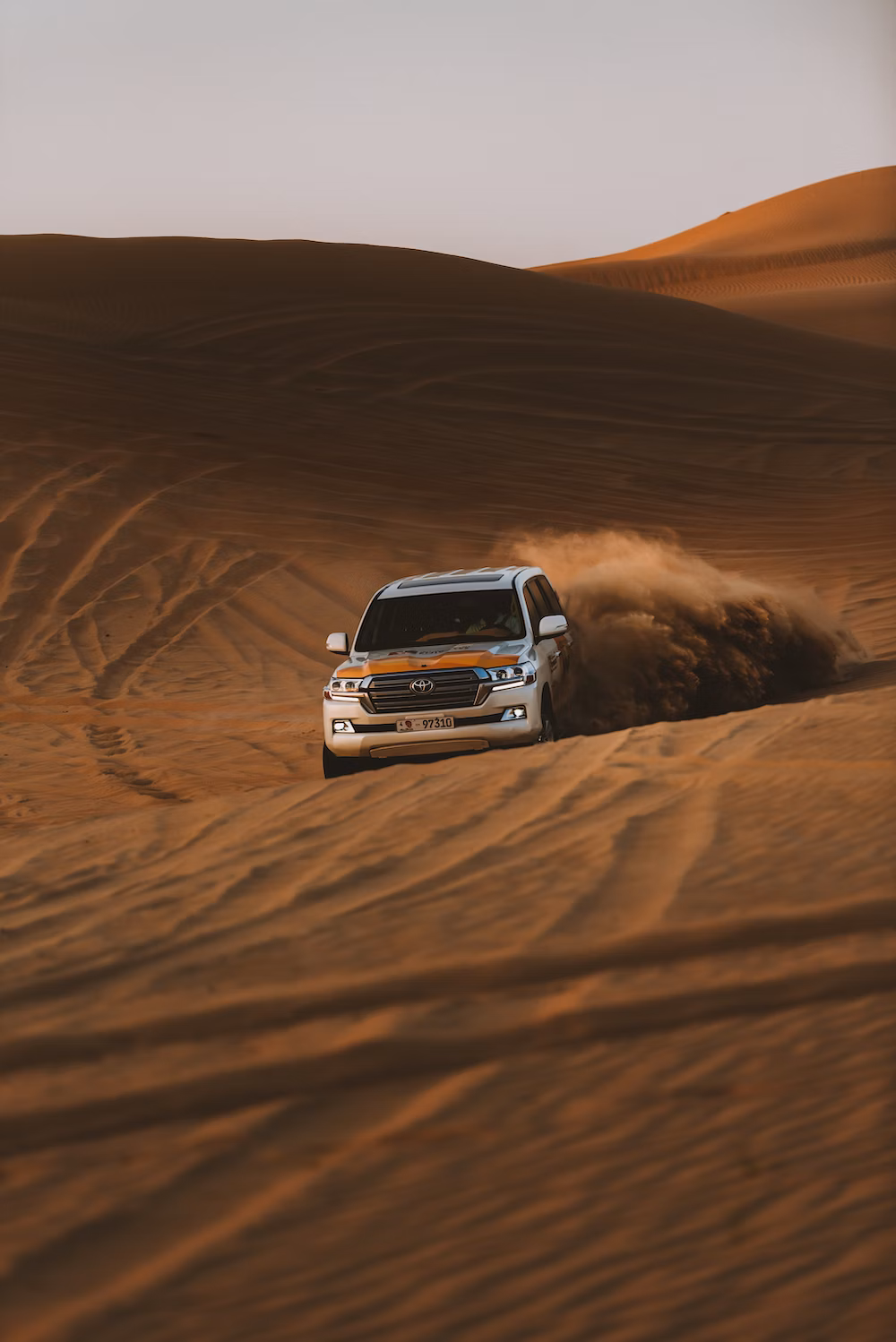 Best Domestic Tour Operators in Kolkata
                                